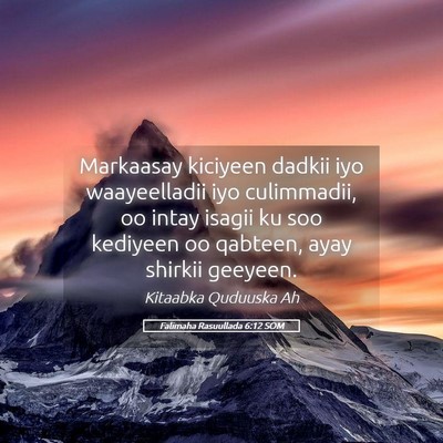 Picture 05 - Falimaha Rasuullada 6:12 SOM - Markaasay kiciyeen dadkii iyo waayeelladii iyo - Bible Verse Picture