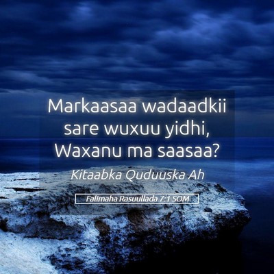 Picture 05 - Falimaha Rasuullada 7:1 SOM - Markaasaa wadaadkii sare wuxuu yidhi, Waxanu ma - Bible Verse Picture