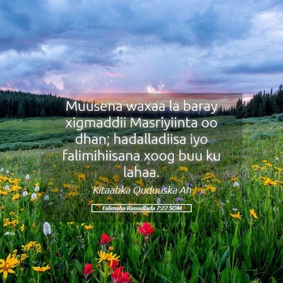 Picture 05 - Falimaha Rasuullada 7:22 SOM - Muusena waxaa la baray xigmaddii Masriyiinta oo - Bible Verse Picture
