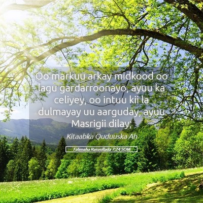 Picture 05 - Falimaha Rasuullada 7:24 SOM - Oo markuu arkay midkood oo lagu gardarroonayo, - Bible Verse Picture