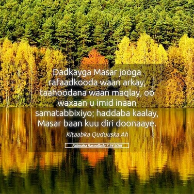 Picture 05 - Falimaha Rasuullada 7:34 SOM - Dadkayga Masar jooga rafaadkooda waan arkay, - Bible Verse Picture