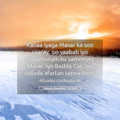 Picture 05 - Falimaha Rasuullada 7:36 SOM - Kanaa iyaga Masar ka soo saaray, oo yaabab iyo - Bible Verse Picture