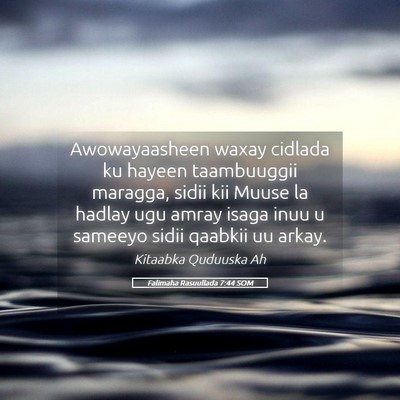 Picture 05 - Falimaha Rasuullada 7:44 SOM - Awowayaasheen waxay cidlada ku hayeen taambuuggii - Bible Verse Picture