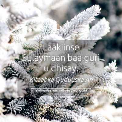 Picture 05 - Falimaha Rasuullada 7:47 SOM - Laakiinse Sulaymaan baa guri u - Bible Verse Picture