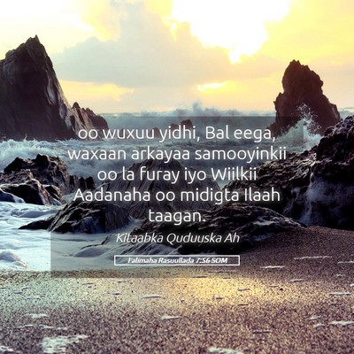 Picture 05 - Falimaha Rasuullada 7:56 SOM - oo wuxuu yidhi, Bal eega, waxaan arkayaa - Bible Verse Picture