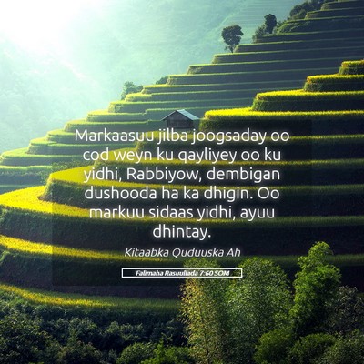 Picture 05 - Falimaha Rasuullada 7:60 SOM - Markaasuu jilba joogsaday oo cod weyn ku qayliyey - Bible Verse Picture