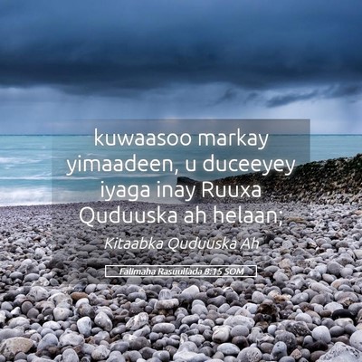 Picture 05 - Falimaha Rasuullada 8:15 SOM - kuwaasoo markay yimaadeen, u duceeyey iyaga inay - Bible Verse Picture
