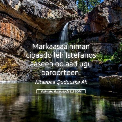 Picture 05 - Falimaha Rasuullada 8:2 SOM - Markaasaa niman cibaado leh Istefanos aaseen oo - Bible Verse Picture