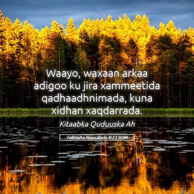 Picture 05 - Falimaha Rasuullada 8:23 SOM - Waayo, waxaan arkaa adigoo ku jira xammeetida - Bible Verse Picture