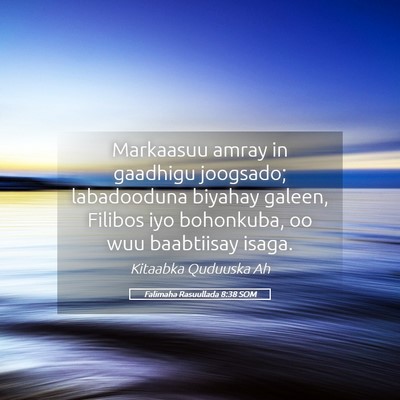 Picture 05 - Falimaha Rasuullada 8:38 SOM - Markaasuu amray in gaadhigu joogsado; labadooduna - Bible Verse Picture