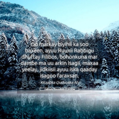 Picture 05 - Falimaha Rasuullada 8:39 SOM - Oo markay biyihii ka soo baxeen, ayuu Ruuxii - Bible Verse Picture