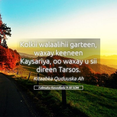 Picture 05 - Falimaha Rasuullada 9:30 SOM - Kolkii walaalihii garteen, waxay keeneen - Bible Verse Picture