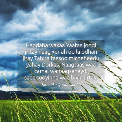 Picture 05 - Falimaha Rasuullada 9:36 SOM - Haddaba waxaa Yaafaa joogi jirtay naag xer ah oo - Bible Verse Picture