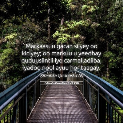 Picture 05 - Falimaha Rasuullada 9:41 SOM - Markaasuu gacan siiyey oo kiciyey; oo markuu u - Bible Verse Picture