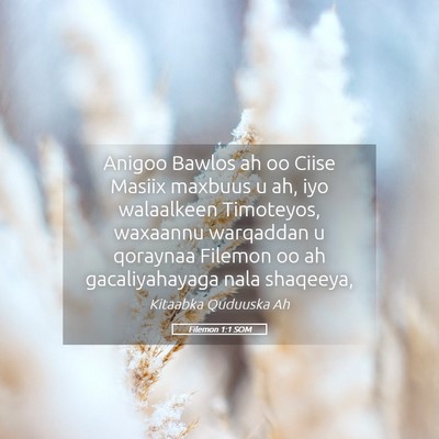 Picture 05 - Filemon 1:1 SOM - Anigoo Bawlos ah oo Ciise Masiix maxbuus u ah, - Bible Verse Picture