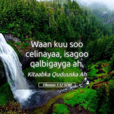 Picture 05 - Filemon 1:12 SOM - Waan kuu soo celinayaa, isagoo qalbigayga - Bible Verse Picture