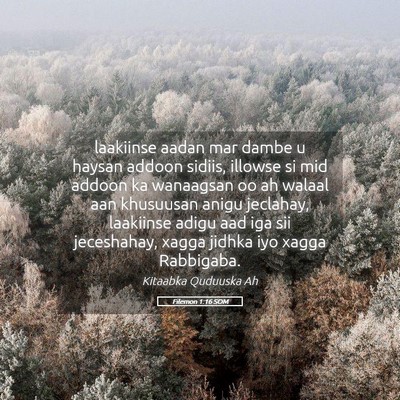 Picture 05 - Filemon 1:16 SOM - laakiinse aadan mar dambe u haysan addoon sidiis, - Bible Verse Picture