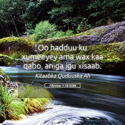 Picture 05 - Filemon 1:18 SOM - Oo hadduu ku xumeeyey ama wax kaa qabo, aniga igu - Bible Verse Picture