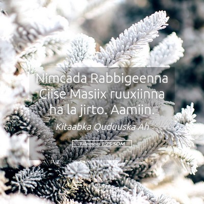 Picture 05 - Filemon 1:25 SOM - Nimcada Rabbigeenna Ciise Masiix ruuxiinna ha la - Bible Verse Picture