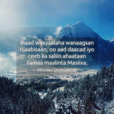 Picture 05 - Filiboy 1:10 SOM - inaad waxyaalaha wanaagsan tijaabisaan, oo aad - Bible Verse Picture