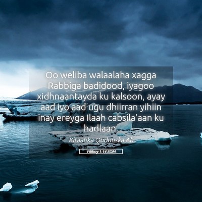 Picture 05 - Filiboy 1:14 SOM - Oo weliba walaalaha xagga Rabbiga badidood, - Bible Verse Picture