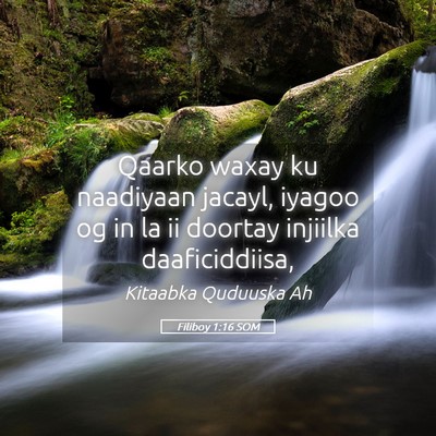 Picture 05 - Filiboy 1:16 SOM - Qaarko waxay ku naadiyaan jacayl, iyagoo og in la - Bible Verse Picture