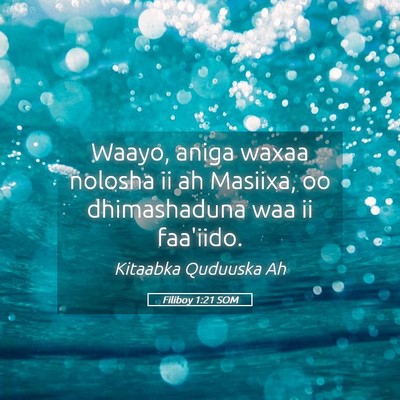 Picture 05 - Filiboy 1:21 SOM - Waayo, aniga waxaa nolosha ii ah Masiixa, oo - Bible Verse Picture