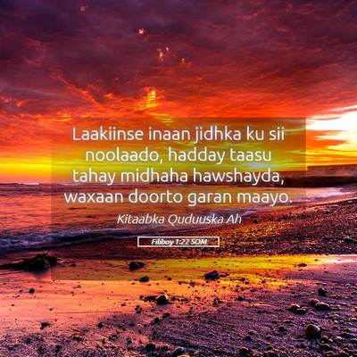 Picture 05 - Filiboy 1:22 SOM - Laakiinse inaan jidhka ku sii noolaado, hadday - Bible Verse Picture