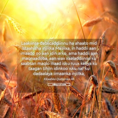 Picture 05 - Filiboy 1:27 SOM - Laakiinse dabiicaddiinnu ha ahaato mid istaahisha - Bible Verse Picture