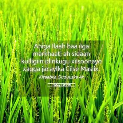 Picture 05 - Filiboy 1:8 SOM - Aniga Ilaah baa iiga markhaati ah sidaan - Bible Verse Picture