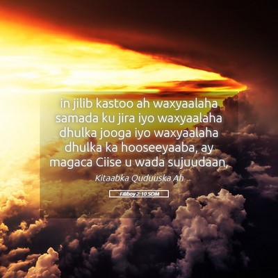 Picture 05 - Filiboy 2:10 SOM - in jilib kastoo ah waxyaalaha samada ku jira iyo - Bible Verse Picture