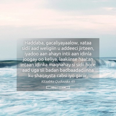 Picture 05 - Filiboy 2:12 SOM - Haddaba, gacaliyayaalow, xataa sidii aad weligiin - Bible Verse Picture