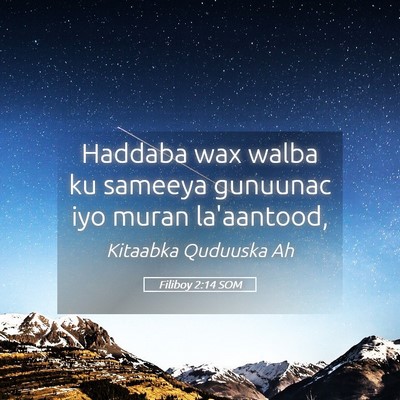 Picture 05 - Filiboy 2:14 SOM - Haddaba wax walba ku sameeya gunuunac iyo muran - Bible Verse Picture