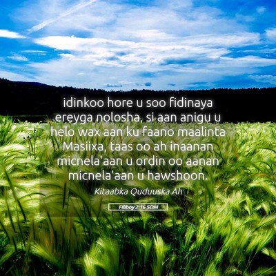 Picture 05 - Filiboy 2:16 SOM - idinkoo hore u soo fidinaya ereyga nolosha, si - Bible Verse Picture
