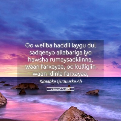 Picture 05 - Filiboy 2:17 SOM - Oo weliba haddii laygu dul sadqeeyo allabariga - Bible Verse Picture