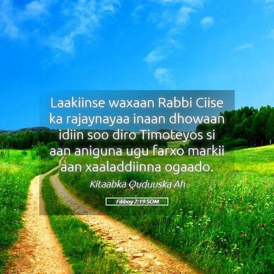 Picture 05 - Filiboy 2:19 SOM - Laakiinse waxaan Rabbi Ciise ka rajaynayaa inaan - Bible Verse Picture