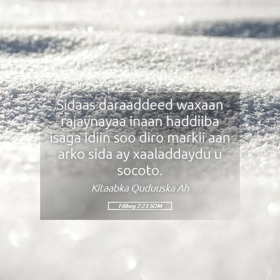 Picture 05 - Filiboy 2:23 SOM - Sidaas daraaddeed waxaan rajaynayaa inaan - Bible Verse Picture