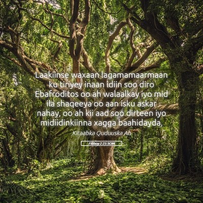 Picture 05 - Filiboy 2:25 SOM - Laakiinse waxaan lagamamaarmaan ku tiriyey inaan - Bible Verse Picture