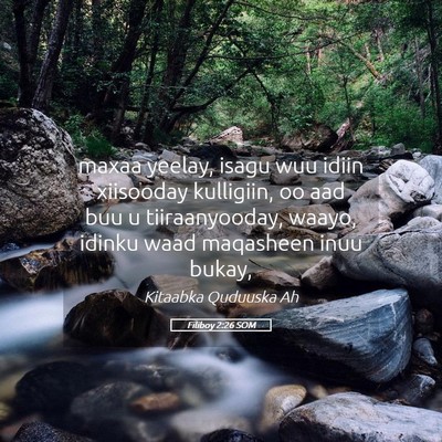 Picture 05 - Filiboy 2:26 SOM - maxaa yeelay, isagu wuu idiin xiisooday - Bible Verse Picture