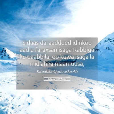 Picture 05 - Filiboy 2:29 SOM - Sidaas daraaddeed idinkoo aad u faraxsan isaga - Bible Verse Picture