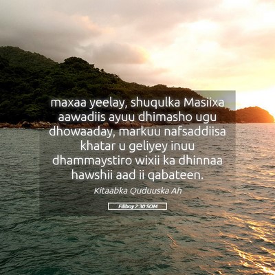 Picture 05 - Filiboy 2:30 SOM - maxaa yeelay, shuqulka Masiixa aawadiis ayuu - Bible Verse Picture
