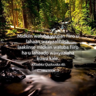 Picture 05 - Filiboy 2:4 SOM - Midkiin waluba yuusan fiiro u lahaan - Bible Verse Picture
