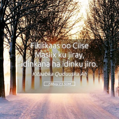 Picture 05 - Filiboy 2:5 SOM - Fikirkaas oo Ciise Masiix ku jiray, idinkana ha - Bible Verse Picture