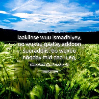 Picture 05 - Filiboy 2:7 SOM - laakiinse wuu ismadhiyey, oo wuxuu qaatay addoon - Bible Verse Picture
