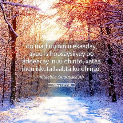 Picture 05 - Filiboy 2:8 SOM - oo markuu nin u ekaaday, ayuu is-hoosaysiiyey oo - Bible Verse Picture