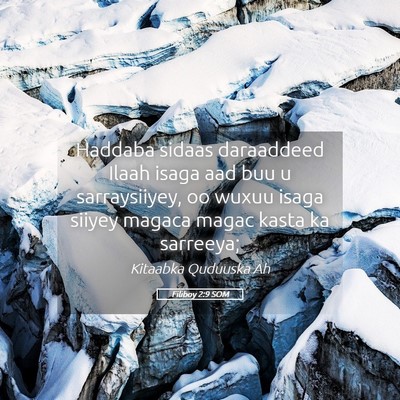 Picture 05 - Filiboy 2:9 SOM - Haddaba sidaas daraaddeed Ilaah isaga aad buu u - Bible Verse Picture