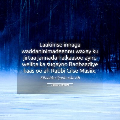 Picture 05 - Filiboy 3:20 SOM - Laakiinse innaga waddaninimadeennu waxay ku - Bible Verse Picture