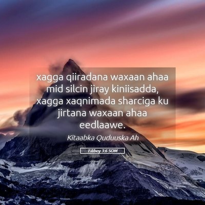 Picture 05 - Filiboy 3:6 SOM - xagga qiiradana waxaan ahaa mid silcin jiray - Bible Verse Picture