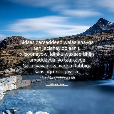 Picture 05 - Filiboy 4:1 SOM - Sidaas daraaddeed walaalahayga aan jeclahay oo - Bible Verse Picture