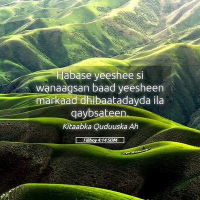 Picture 05 - Filiboy 4:14 SOM - Habase yeeshee si wanaagsan baad yeesheen markaad - Bible Verse Picture
